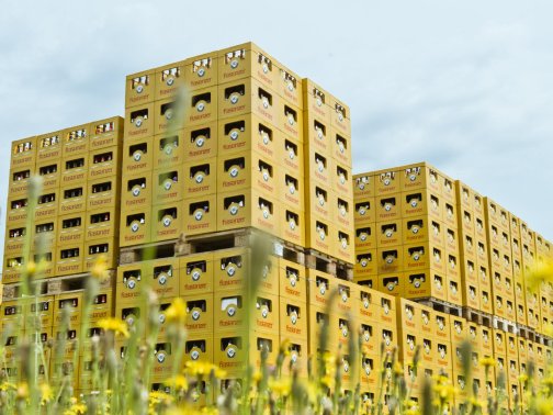 Assistenz Logistik