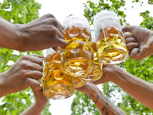 Bock auf Job
